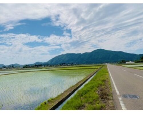 B292D1F6-8E58-4186-A1FB-29179A498DA7